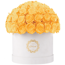 Velvet Special Collection bouquet with more than 60 Roses