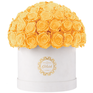 Velvet Special Collection bouquet with more than 60 Roses