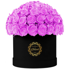 Velvet Special Collection bouquet with more than 60 Roses