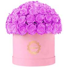 Velvet Special Collection bouquet with more than 60 Roses