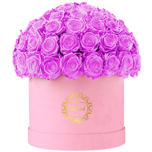 Velvet Special Collection bouquet with more than 60 Roses