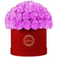Velvet Special Collection bouquet with more than 60 Roses