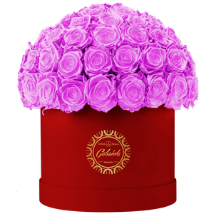Velvet Special Collection bouquet with more than 60 Roses
