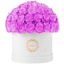 Velvet Special Collection bouquet with more than 60 Roses