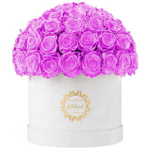 Velvet Special Collection bouquet with more than 60 Roses