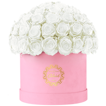 Velvet Special Collection bouquet with more than 60 Roses