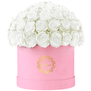 Velvet Special Collection bouquet with more than 60 Roses
