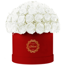 Velvet Special Collection bouquet with more than 60 Roses