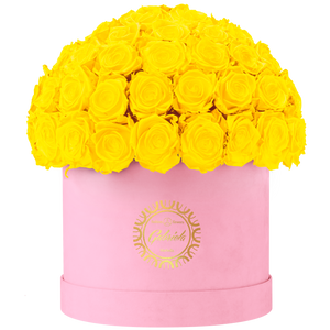 Velvet Special Collection bouquet with more than 60 Roses