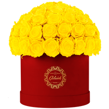 Velvet Special Collection bouquet with more than 60 Roses