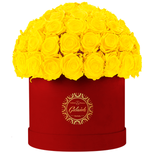 Velvet Special Collection bouquet with more than 60 Roses