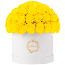 Velvet Special Collection bouquet with more than 60 Roses