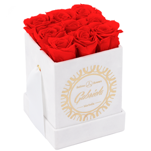 9 S sizes Roses Velvet Square box