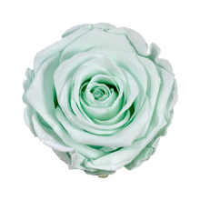 Small Luxury Round Velvet bouquet with more than  10 Roses