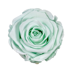 Small Luxury Round Velvet bouquet with more than  10 Roses