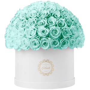 Xtra Large Velvet Special Collection bouquet with more than 100 Roses
