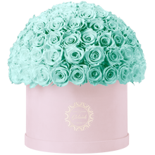 Xtra Large Velvet Special Collection bouquet with more than 100 Roses