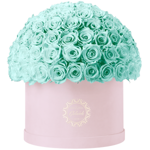Xtra Large Velvet Special Collection bouquet with more than 100 Roses