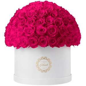 Xtra Large Velvet Special Collection bouquet with more than 100 Roses