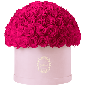 Xtra Large Velvet Special Collection bouquet with more than 100 Roses