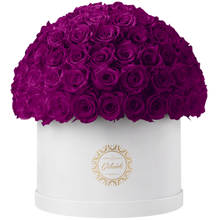 Xtra Large Velvet Special Collection bouquet with more than 100 Roses