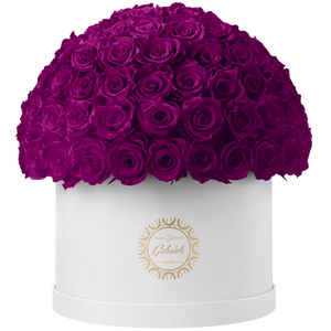 Xtra Large Velvet Special Collection bouquet with more than 100 Roses
