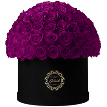 Xtra Large Velvet Special Collection bouquet with more than 100 Roses