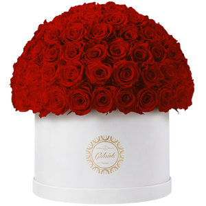 Xtra Large Velvet Special Collection bouquet with more than 100 Roses