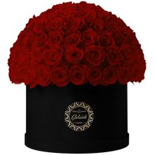Xtra Large Velvet Special Collection bouquet with more than 100 Roses