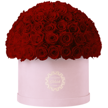 Xtra Large Velvet Special Collection bouquet with more than 100 Roses