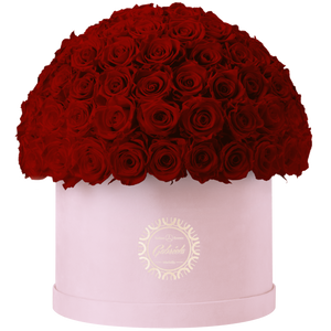 Xtra Large Velvet Special Collection bouquet with more than 100 Roses
