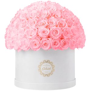 Xtra Large Velvet Special Collection bouquet with more than 100 Roses