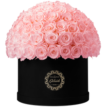 Xtra Large Velvet Special Collection bouquet with more than 100 Roses