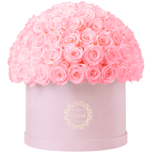 Xtra Large Velvet Special Collection bouquet with more than 100 Roses