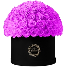 Xtra Large Velvet Special Collection bouquet with more than 100 Roses