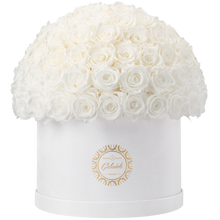 Xtra Large Velvet Special Collection bouquet with more than 100 Roses