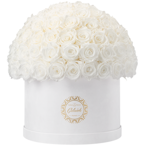 Xtra Large Velvet Special Collection bouquet with more than 100 Roses