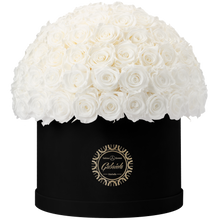 Xtra Large Velvet Special Collection bouquet with more than 100 Roses