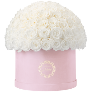 Xtra Large Velvet Special Collection bouquet with more than 100 Roses