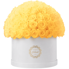 Xtra Large Velvet Special Collection bouquet with more than 100 Roses
