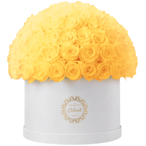 Xtra Large Velvet Special Collection bouquet with more than 100 Roses