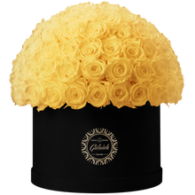 Xtra Large Velvet Special Collection bouquet with more than 100 Roses