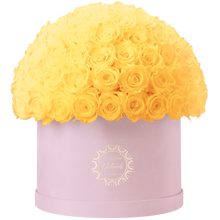 Xtra Large Velvet Special Collection bouquet with more than 100 Roses
