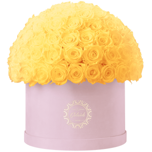 Xtra Large Velvet Special Collection bouquet with more than 100 Roses
