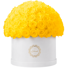 Xtra Large Velvet Special Collection bouquet with more than 100 Roses