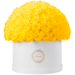 Xtra Large Velvet Special Collection bouquet with more than 100 Roses