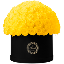 Xtra Large Velvet Special Collection bouquet with more than 100 Roses