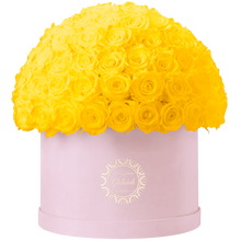 Xtra Large Velvet Special Collection bouquet with more than 100 Roses