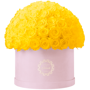 Xtra Large Velvet Special Collection bouquet with more than 100 Roses