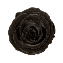 4 Roses  Velvet Square Box